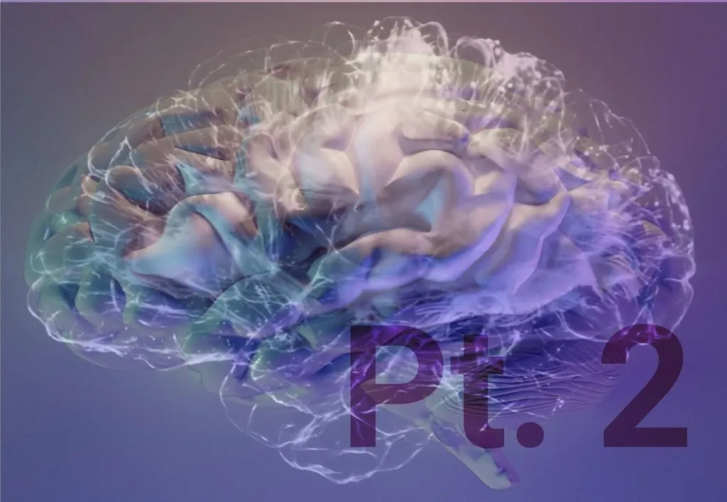 3D brain illustration with neural network and Pt. 2 text